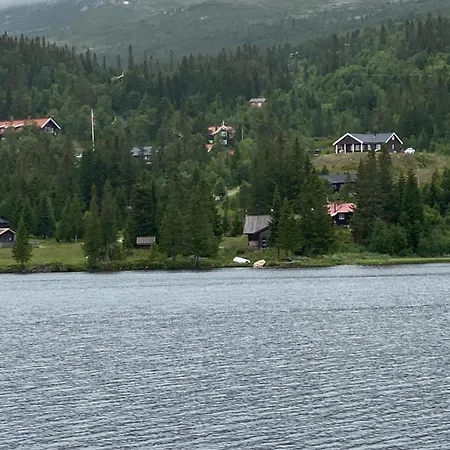 Pa Solsiden Av Gaustatoppen *