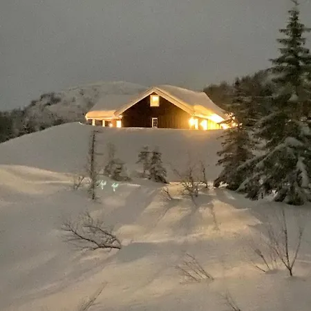 Pa Solsiden Av Gaustatoppen *