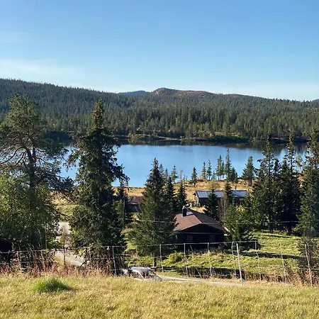 Pa Solsiden Av Gaustatoppen *
