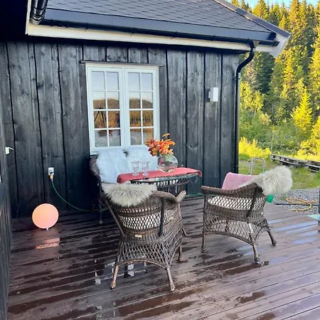 Pa Solsiden Av Gaustatoppen Semesterbostad Tuddal