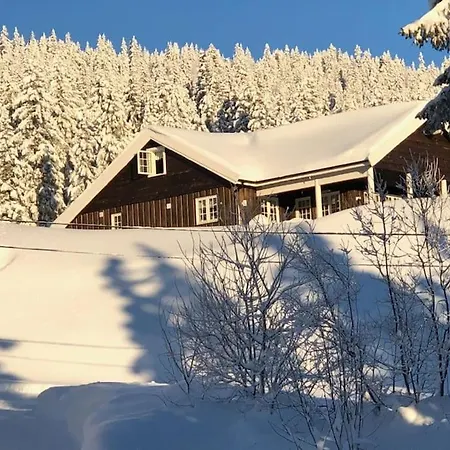 Pa Solsiden Av Gaustatoppen Semesterbostad Tuddal