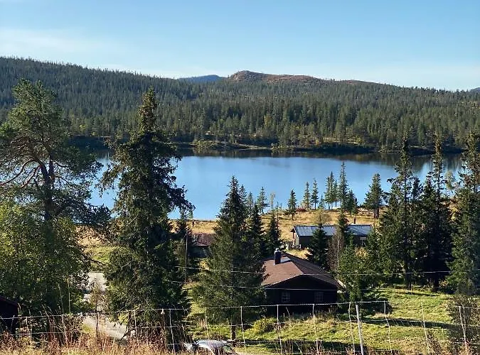 Pa Solsiden Av Gaustatoppen *